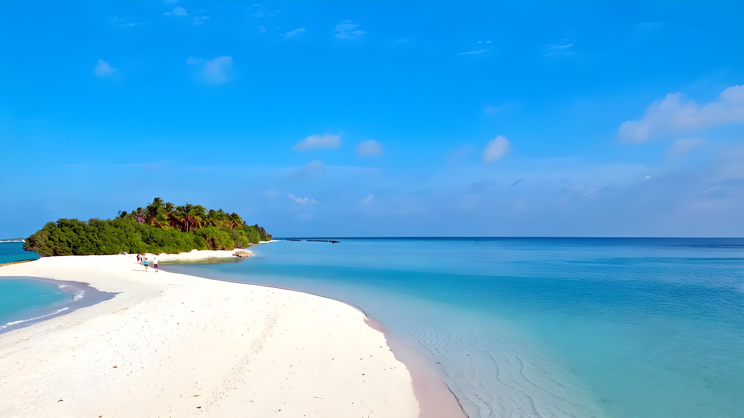 AI类资源分享-悟思笔记，一个低调的学习营。